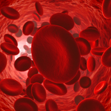 Solaray Bio E Gamma Plex Vitamin E w/ Natural Tocopherol Blend for Healthy Antioxidant 60 Softgels