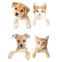 pet pad