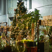 color changing rope lights