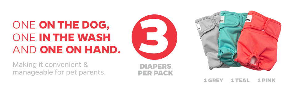 3 Diapers per pack! Colors include Teal, Pink, ad Grey.