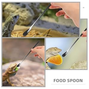 Amazon | FOMIYES 爬虫類 フード スプーン、 3個 パウダー