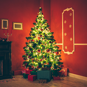 6ft christmas trees