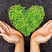 Casida - pflanzlich und natürlich