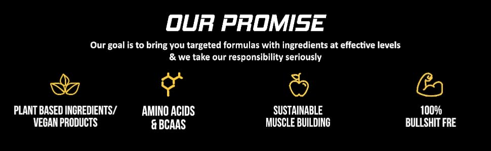 Muscle Asylum F9 + Test | Pre-Workout with Test Booster 17 MA