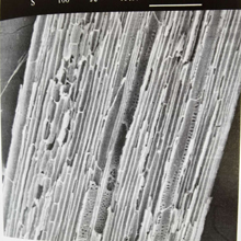 health,household,care,ostomy,flow,bleeding,soft breathable,comfy,security,dry,moisture,absorption