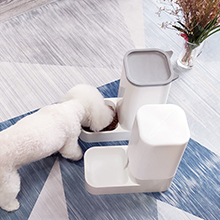 automatic cat feeder and waterer