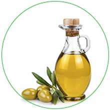 Olive Oil