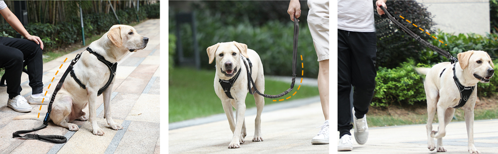 strong dog leash for large dog medium dog