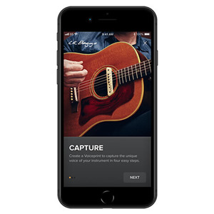 Amazon.co.jp: L.R.Baggs Voiceprint DI アコースティックギター