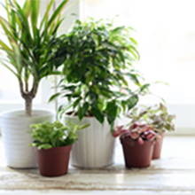 Small manufacture image 7