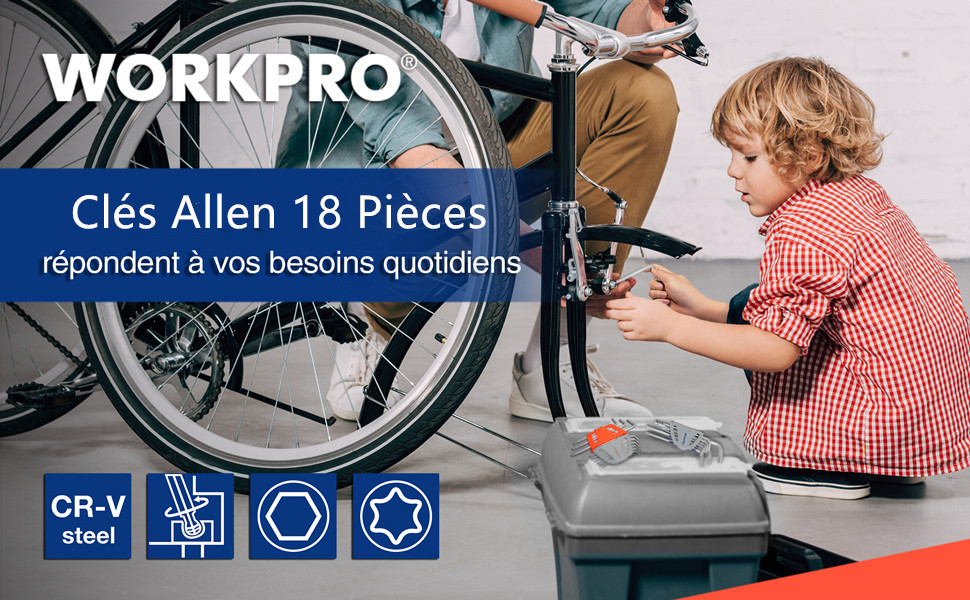 WORKPRO Jeu De 18 Clés Allen Hexagonales En Cr-V Avec Tête Plate, Torx, Sphérique, Clés Males Avec Etui Portative Pour Réparation Et Assemblage De Vélo, Moto, Voiture, Electroménager 12 1