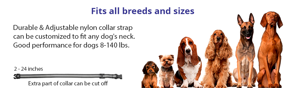 Fits all breeds and sizes