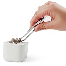 succulent kit succulent tools set succulents tools kit