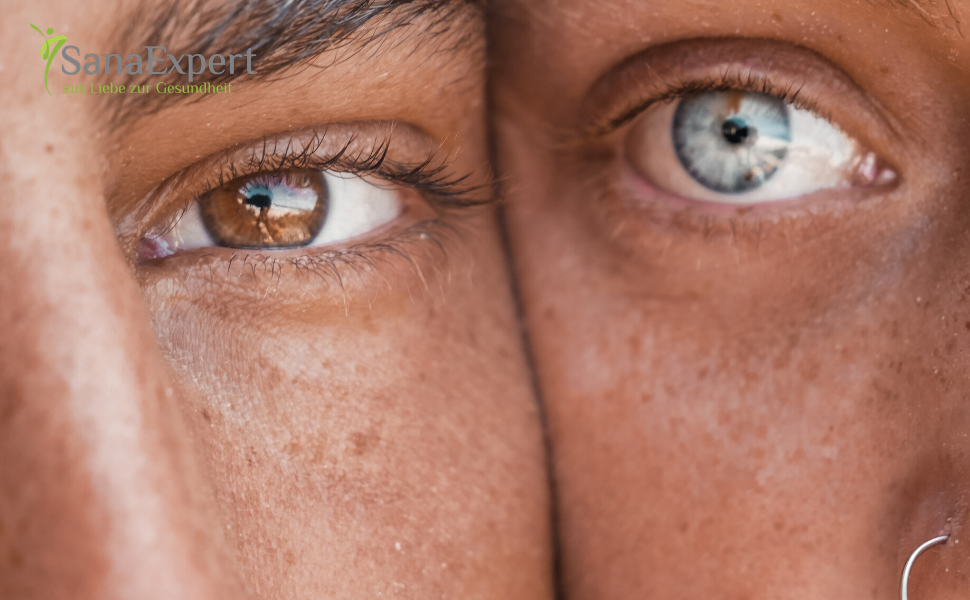Vision Plus Amazon Titelbild