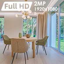 Full HD1080P Live Viewing