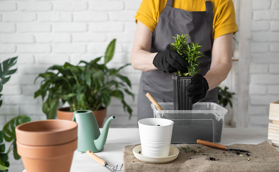 Plant Nursery Pots