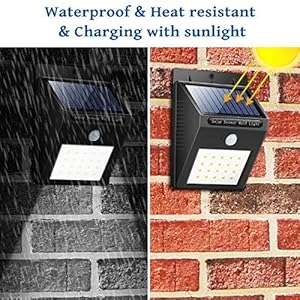 SOLAR LIGHT 1