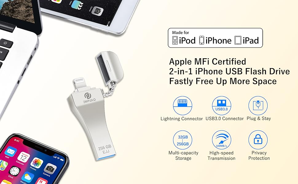 Apple MFi Certified 256GB PhotoBackupStick for iPhone & iPad Photo