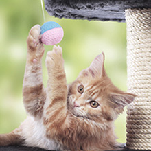 PawHut Cat Multi-Activity Tree Tower with Perch House, Scratching Post, Play Ball 21 a