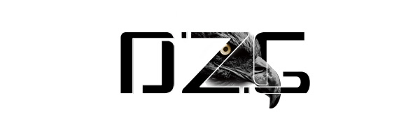 DZG HALOGEN HEADLIGHT BULBS