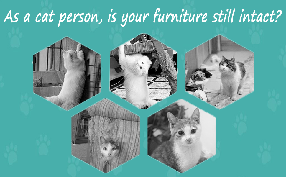 As a cat person, is your furniture still intact?