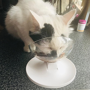 Small manufacture image 9