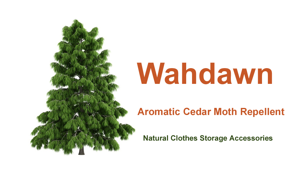 Wahdawn 42Pack Cedar Blocks for Clothes Storage, Aromatic