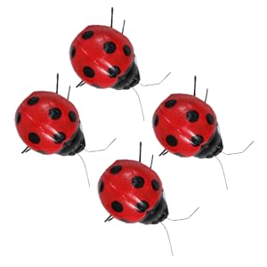てんとうむし  Amazon.co.jp: Wheely Bug ウィリーバグ S てんとう虫 (WEB001