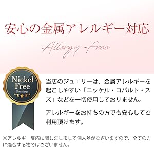 ニッケルフリー