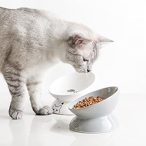 DELA DISCOUNT 3a0bcecb-e8a5-4047-8ca2-d348b52d38f0.__CR0,0,600,600_PT0_SX300_V1___ SWEEJAR Raised Cat Bowl for Dry Wet Cat Food, Ceramic Elevated Pet Bowl Cat Dish, Protect Cat's Spine, Stress Free, Slanted Design for Cat Easy Eating, Dishwasher Safe  