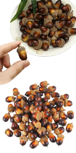 Artificial Acorn