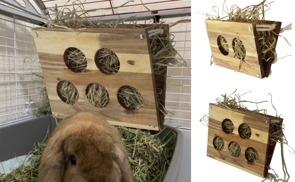 Wooden Rabbit Hay Feeder and Food Manger, Handmade Hay