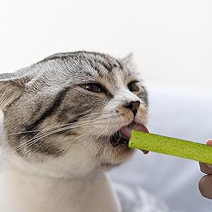 Cat Chew Toys for Teething