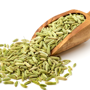 Fennel Ingredient
