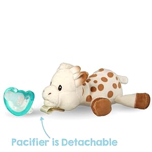 detachable pacifier 