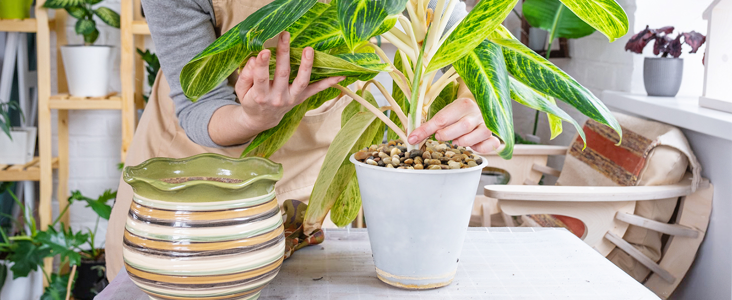 YISZM 10LB Succulent and Cactus Gravel Pebbles, 3/8 Inch