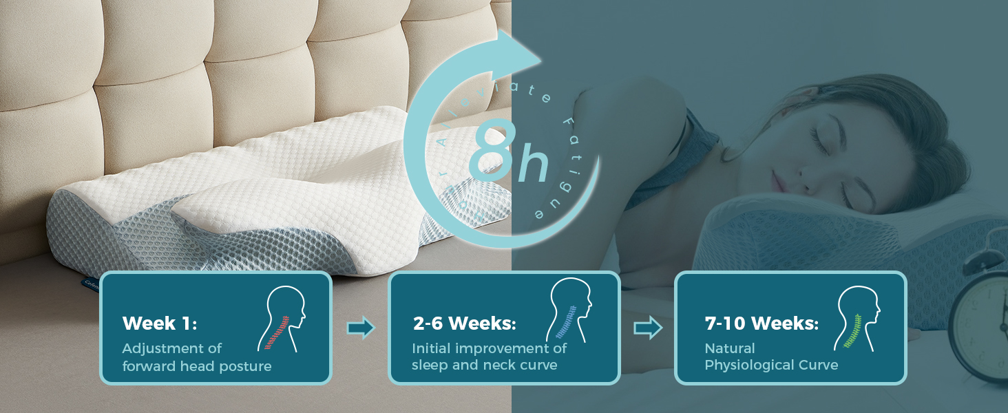 cefeno‘s neck pillow