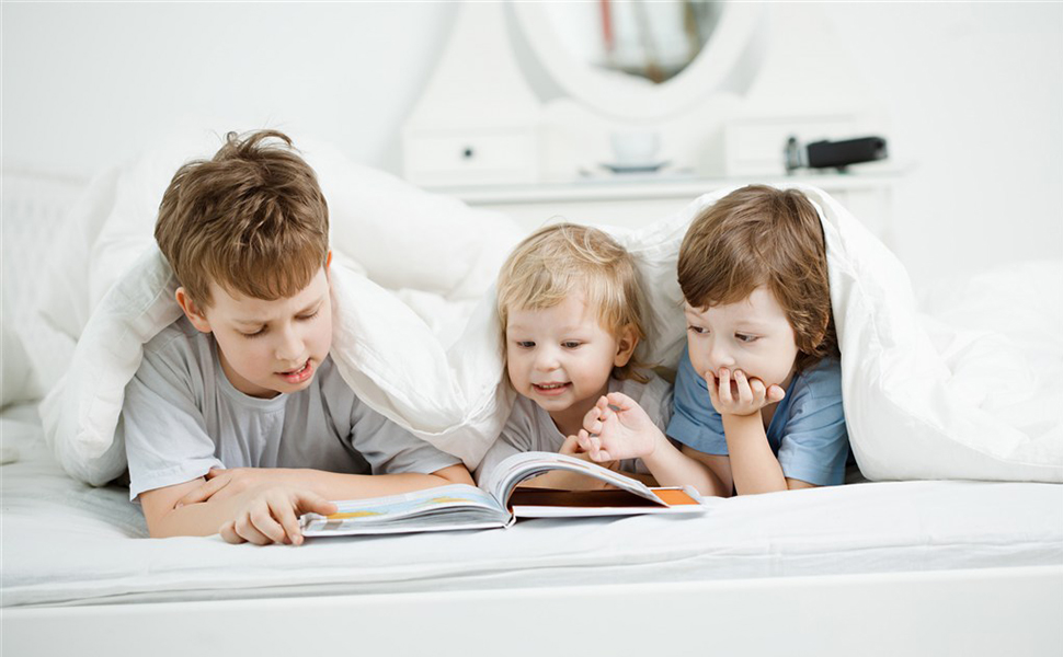 SNOWMAN White Goose Down and Feather Blend Comforter Queen Size 100