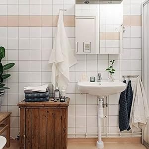 mildew odor remover,car cigarette odor eliminator