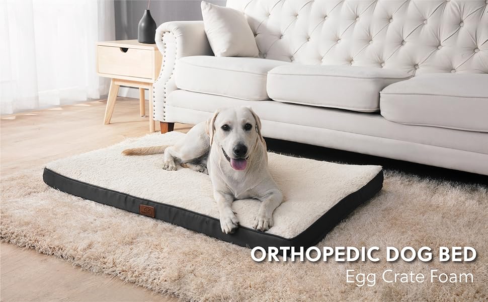 Bedsure Large Dog Bed for Large Dogs Up to 75lbs Orthopedic Big Dog