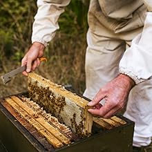 mountain valley honey bee gifts natural gourmet gift sets wild honeys raw natural exotic