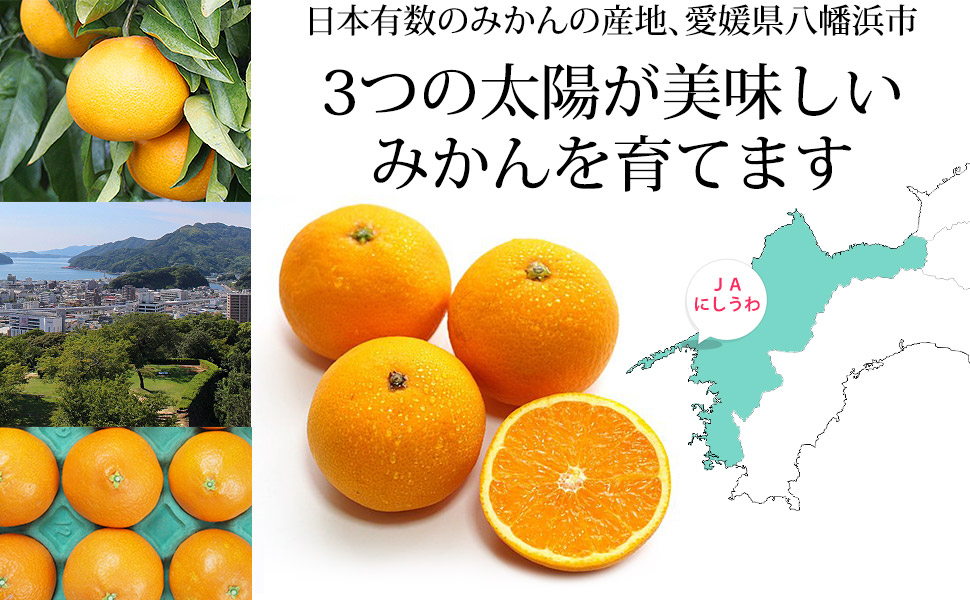 (いななみかん)ダンベル activafit 1つ いななみかん様専用) ACTIVAFIT ダンベル1つ