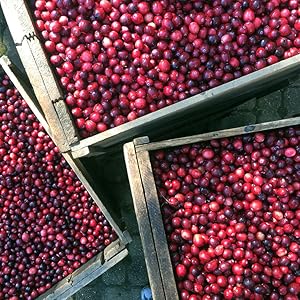 Small manufacture image 8