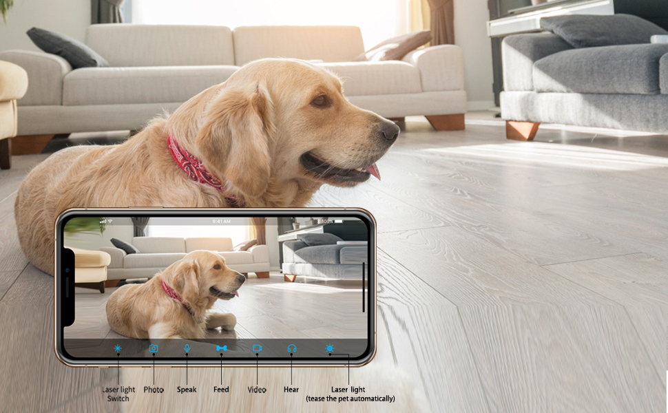 Dale a tu mascota mejor amor y cuidado.