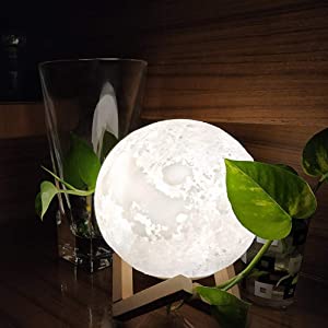 moon qq