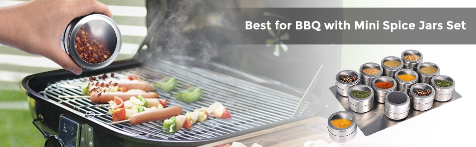Magnetic Spice Best for BBQ
