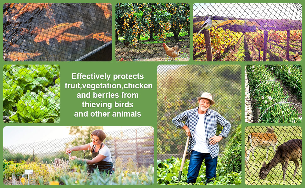 OGORI 25' x 25' Bird Netting Heavy Duty Nylon 3/4" Mesh Garden Netting Protect