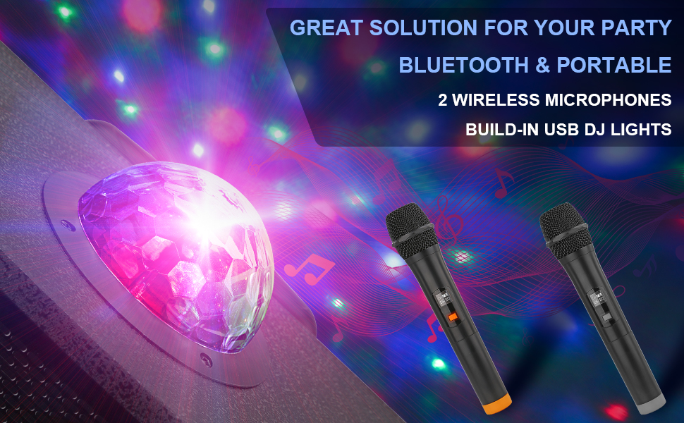 Bluetooth Karaoke Machine for Adults with 2 Wireless