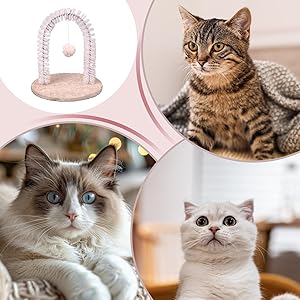 Kattenborstel