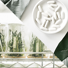 The GL Nutrition Standard